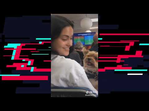 🔥Top-10 Daily TikTok Videos (Funny, Best, Hot, Trending, Mashup, Compilation, October, 2019) 2of3