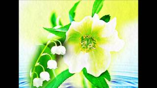 Rossana Casale - Per Me - Fiori - Art Work by Andrea Lestat - WallPapersCollection