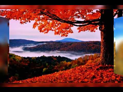 Între nori și între mare!