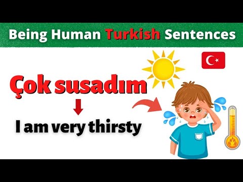 Being Human 🧒 Phrases and Sentences - Learn the most important sentences