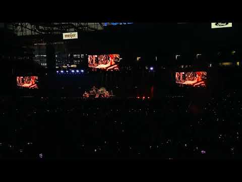 Pitbull International Love