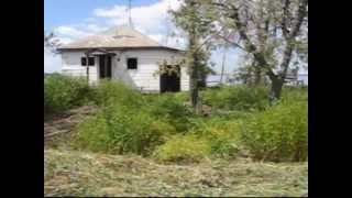 The Tallest Man on Earth - &quot;Kids on the Run&quot;