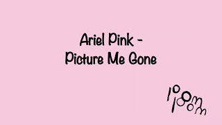 Ariel Pink - Picture Me Gone (Lyric Video)