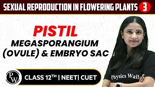 Sexual Reproduction in Flowering Plants 03 | Pistil, Megasporangium (Ovule) & Embryo Sac| 12th /NEET