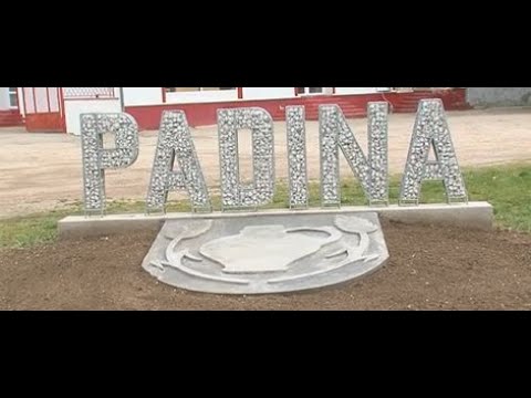 Ulaz u Padinu odnedavno krasi grb ovog mesta