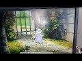 Robin Hood Mama Mama Wait For Me