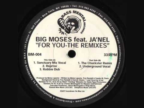 Big Moses Feat Janel - For You (Sanctuary Mix Vocal)