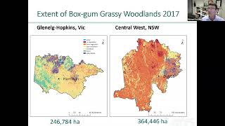 Accounting for the critically endangered Box-gum Grassy Woodlands