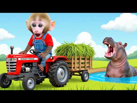 Monkey Nana drives a tractor full of grass for the dairy cow but gets chased by a hippo.