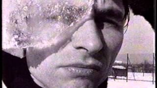 Cakekitchen--Dogs and Cats