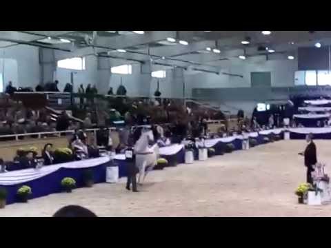 AR Fayyim Aachen 2014