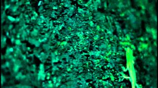 The Locust-earwax halo manufactured for the champion in all of us