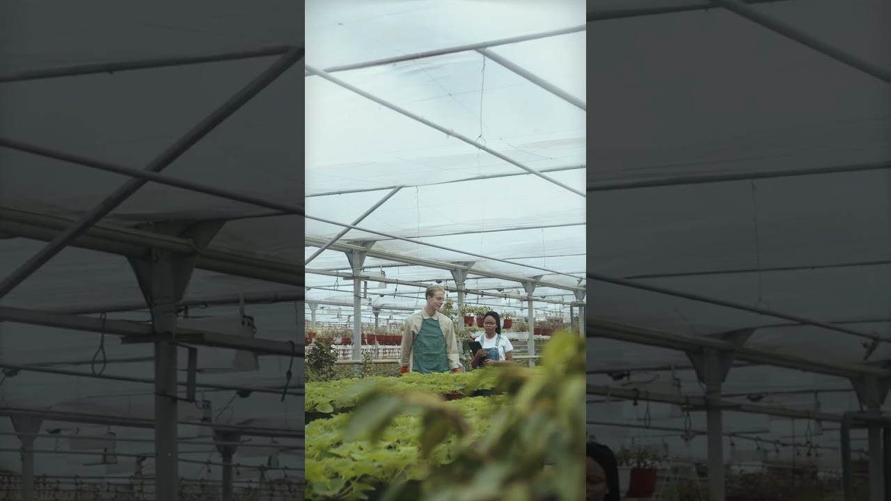 Geothermal energy is being used in Colorado for greenhouses, for year round local food availability!