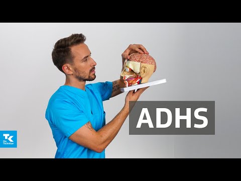 ADHS verstehen: Ursachen, Symptome, Diagnose & Therapie | DocTommy