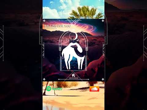 Shayan Pasha - Falling For You (Cafe De Anatolia)