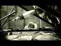 The Gift - Les tulipes de mon jardin (the perfect you ...