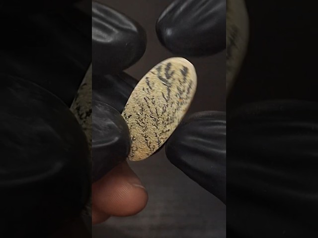 حجر اكاسيد منغنيز شجري طبيعي