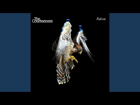 Cameo Brooch - The Courteeners