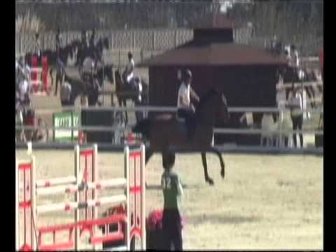 Numero Uno mit Reinhold Distel