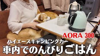 【犬との暮らし】ハイエースで過ごす日BLUETTI AORA 300で車内ごはん。