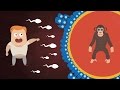 Can Humans And Chimpanzees Have Babies Animal Human Hybrids Explained