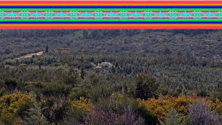 Savoy Brown - Mr. Downchild