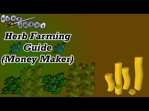 Runescape 2007 Herb Farming Guide | OSRS Money Maker