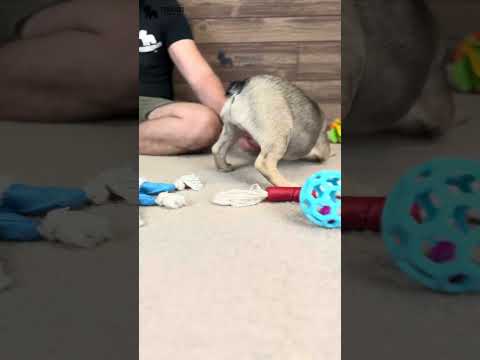 Video 5