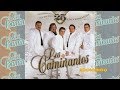 Los Caminantes - Adolorido (Canción Completa)