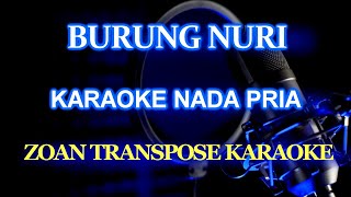Download lagu Burung Nuri Karaoke Nada Pria @ZoanTranspose mp3