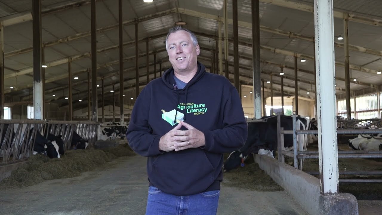 Welcome to Open Farm Day 2024