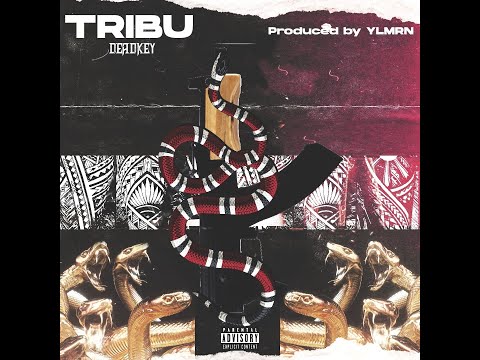 TRIBU (Visualizer) - Deadkey