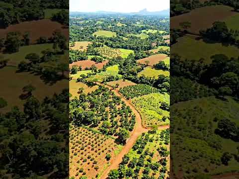 Região Metropolitana da cidade do Rio de Janeiro Ep 21 Shorts