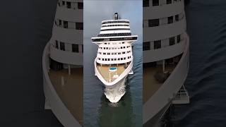 MSC PREZIOSA 01/11/25 cruzeiro chegando Santos Brasil  navio chegada @cruzeiros2025 #drone #shorts
