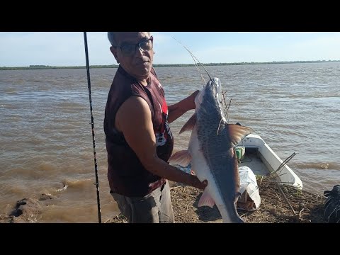 Patí enorme ! #pesca#cocina #comida #aventura#isla 