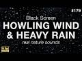 HOWLING WIND and HEAVY RAIN Sounds for Sleeping (BLACK SCREEN)