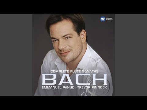 Flute Sonata in B Minor, BWV 1030: I. Andante