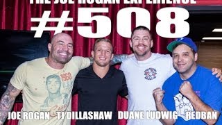 Joe Rogan Experience #508 - TJ Dillashaw & Duane Ludwig