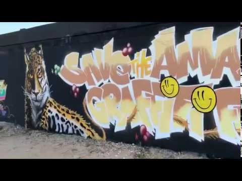 Graffiti muurschildering save the amazon door Graffitifun