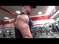 Arm Day ( Biceps and Triceps )