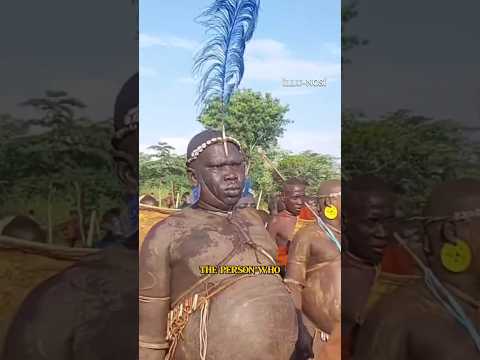 Inside Ethiopia's Unique Fattening Festival: The Bodi Tribe's Ka'el Ceremony.