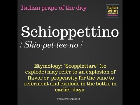 Schioppettino