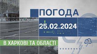 Прогноз погоди в Харкові та Харківській області на 25 лютого