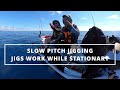 Slow Pitch Jigging Tutorial and Techniques for Beginners | SPJ Guide using Ocean's Legacy