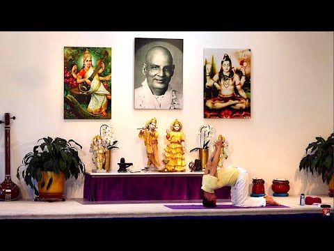 Yogastunde Mittelstufe Yoga Vidya Grundreihe: Umkehrstellungen mit Guido 16:15 Uhr 13.07.2020