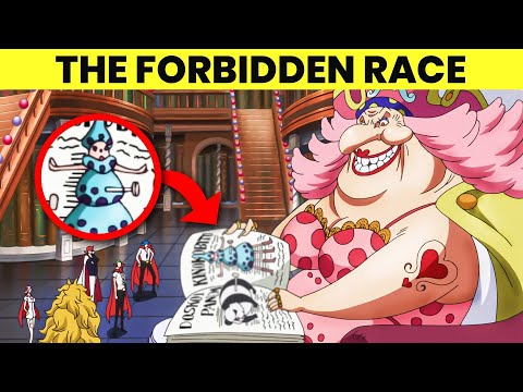 All 27 Known Races in One Piece Explained!
