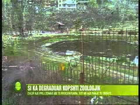 Revista Televizive e Mbremjes, 26 Mars, Ora 00:15 - Top Channel Albania - News - Lajme