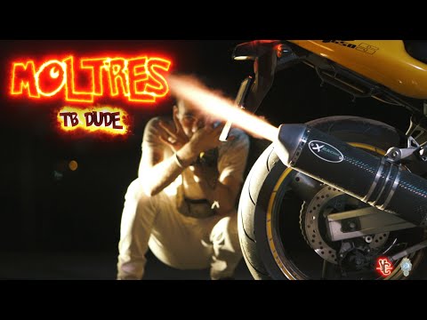 TB Dude - Moltres [Shot by YC]
