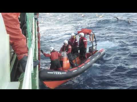 South Georgia Toothfish Fishery (FV Antarctic Bay)