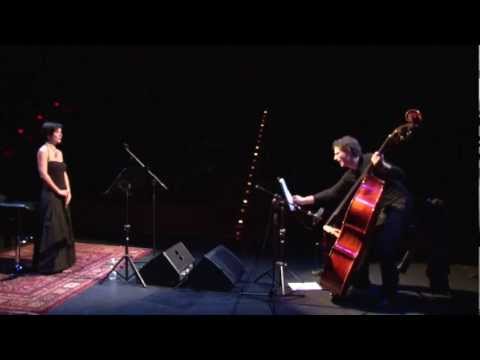 Milanese Nizzetto I shot the sheriff (B.Marley) Live "SolInDò"